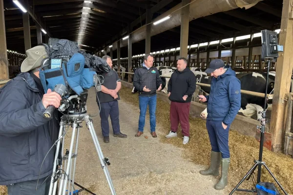 Video & AVideo & Animationnimation